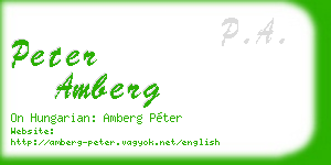peter amberg business card